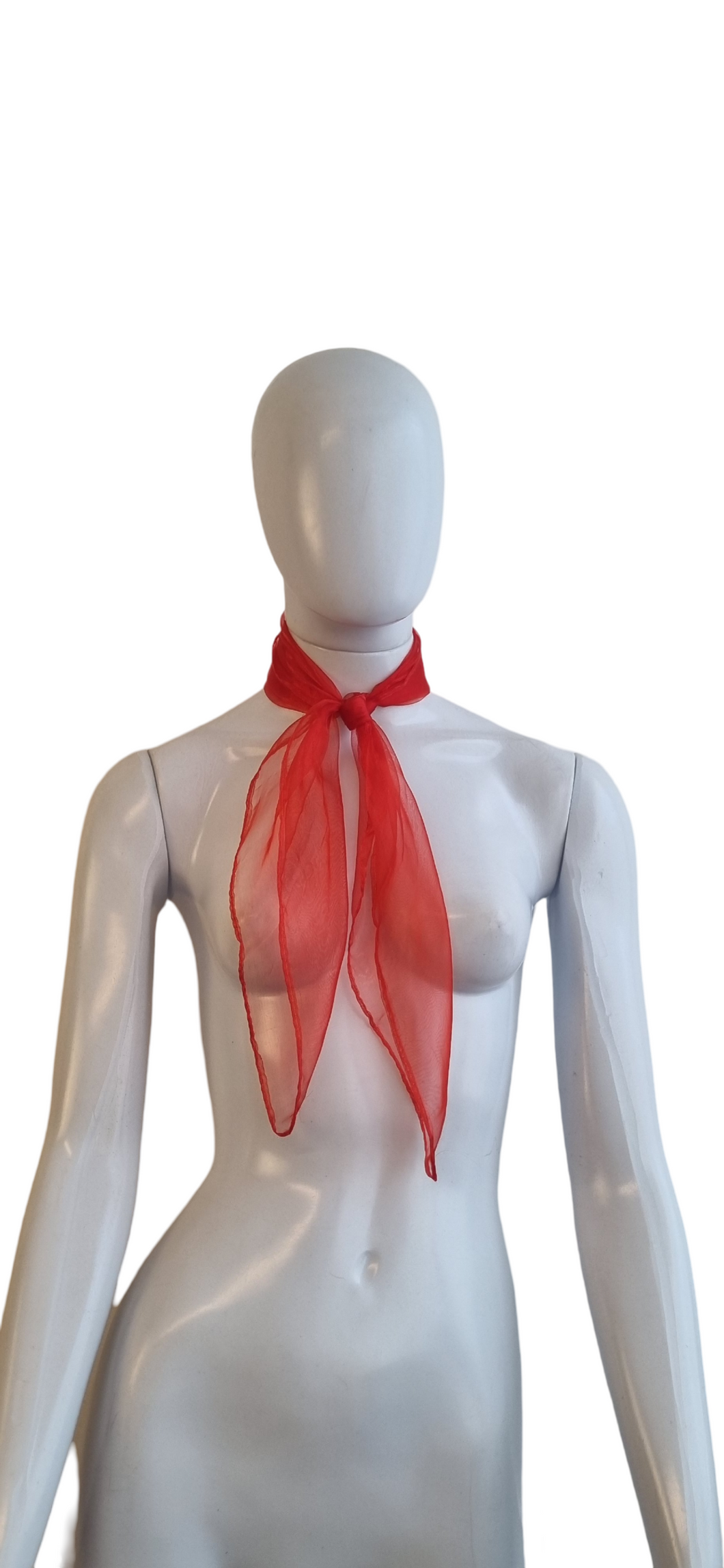 Lencinho organza